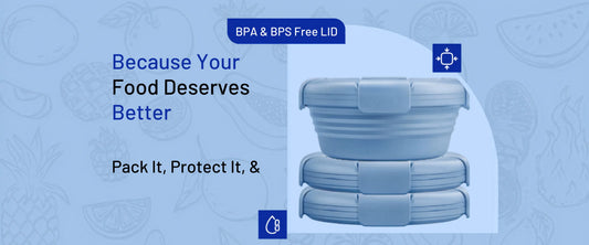 Best Collapsible Silicone Lunch Box